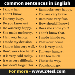 common sentences in English